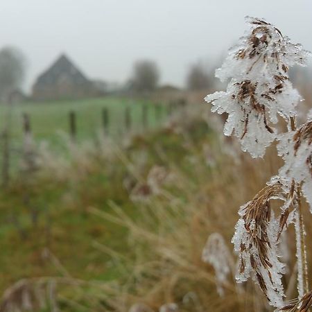 Bed In Waterland Bed & Breakfast Broek in Waterland Luaran gambar